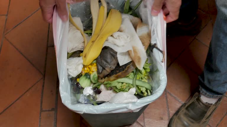 Trusted Temple, GA Junk Removal Services Experts